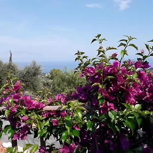 https://il-porto-di-benny.hotelitalianriviera.com